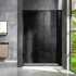 Душевая дверь в нишу Vincea Lugano VDS-1L120CGB-1 120 см, профиль черный, стекло серое