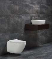 Унитаз подвесной beWash Bogen 88303614 с сиденьем микролифт, с функцией биде, белый матовый