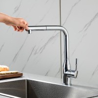Смеситель для кухни Frap F6096 хром