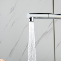 Смеситель для кухни Frap F6096 хром