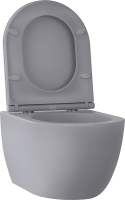 Унитаз подвесной Wellsee Chalice Perfection 182610001 безободковый, с микролифтом, матовый серый