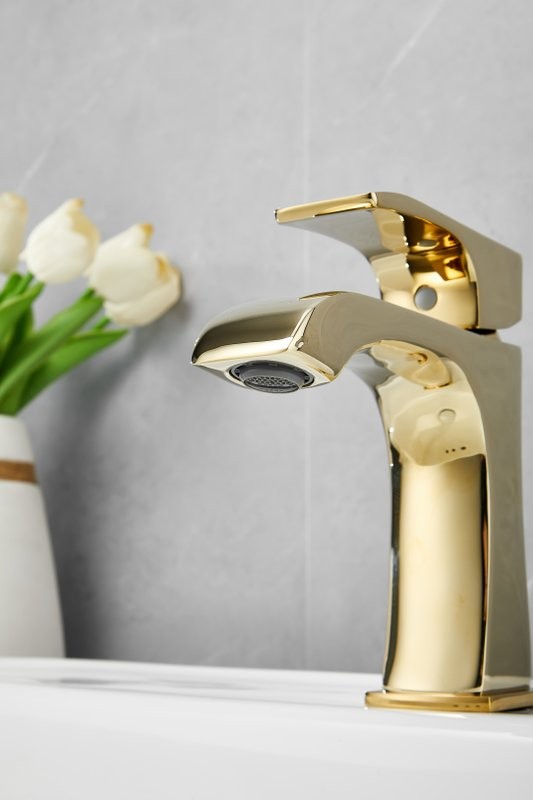 Смеситель для раковины BELZ B507 B10507-5 золото