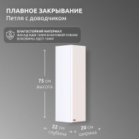 Пенал в ванную комнату навесной La fenice, Spectrum Рондо М 20 арт.201 Универсальный
