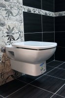 Комплект Унитаз подвесной Roca Dama senso + Крышка Dama Senso ZRU9000041 c микролифтом, петли хром + Инсталляция Geberit Duofix Delta 458.163.21.1 с кнопкой смыва, хром + Звукоизоляция