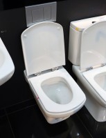 Комплект Унитаз подвесной Roca Dama senso + Крышка Dama Senso ZRU9000041 c микролифтом, петли хром + Инсталляция Geberit Duofix Delta 458.163.21.1 с кнопкой смыва, хром + Звукоизоляция