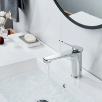 Смеситель для раковины Shevanik S6201 хром