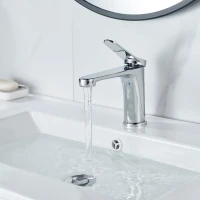 Смеситель для раковины Shevanik S6201 хром