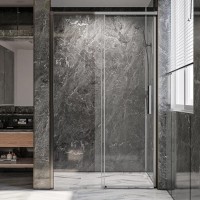 Дверь для душевого уголка Veconi Premium Trento PTD-40GR 150 см, профиль брашированный графит, стекло прозрачное