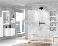 Душевая перегородка Cezares Liberta -L-2-110-C-NERO