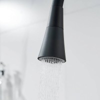Смеситель для кухни Shevanik S543H-3 с гибким изливом, черный