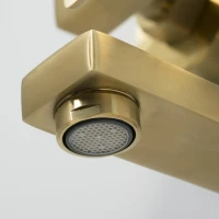 Душевая стойка Wasserkraft Aisch A155.198.201.BG золото