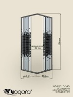 Душевая перегородка Niagara Eco NG-1010-14QBLACK (100x100x190 см)