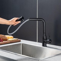 Смеситель для кухни Frap F6096-6 черный