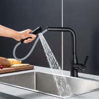 Смеситель для кухни Frap F6096-6 черный