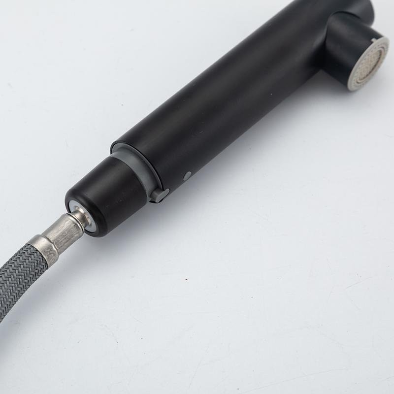 Смеситель для кухни Frap F6096-6 черный