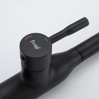 Смеситель для кухни Frap F6096-6 черный