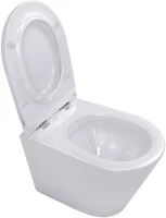 Унитаз подвесной Teymi Solli T40201 с микрофлитом, безободковый, белый