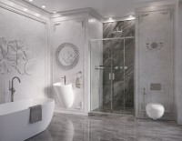 Душевая дверь в нишу Ambassador Forsa 17021107AX 120 см