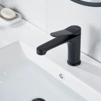 Смеситель для раковины Shevanik S6201H черный