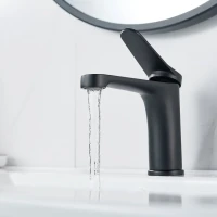 Смеситель для раковины Shevanik S6201H черный