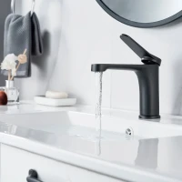 Смеситель для раковины Shevanik S6201H черный