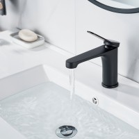 Смеситель для раковины Shevanik S6201H черный