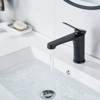 Смеситель для раковины Shevanik S6201H черный