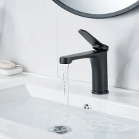 Смеситель для раковины Shevanik S6201H черный