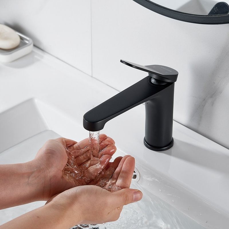Смеситель для раковины Shevanik S6201H черный