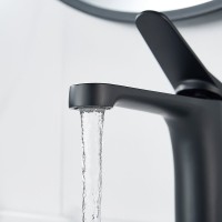 Смеситель для раковины Shevanik S6201H черный
