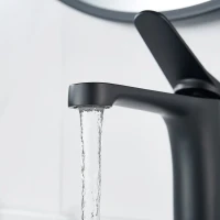 Смеситель для раковины Shevanik S6201H черный