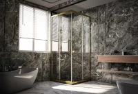 Душевой уголок Veconi Premium Trento PTC-20G 110x80, профиль брашированное золото, стекло прозрачное