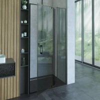 Душевая дверь в нишу Alex Baitler АВ74В100 100 см, профиль черный, стекло тонированное