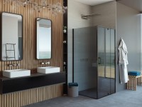 Душевая дверь в нишу Alex Baitler АВ74В100 100 см, профиль черный, стекло тонированное