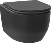 Унитаз подвесной Wellsee Croquis 182613001 безободковый, с микролифтом, матовый черный