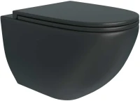 Унитаз подвесной Teymi Lina S T40111 с микрофлитом, безободковый, черный