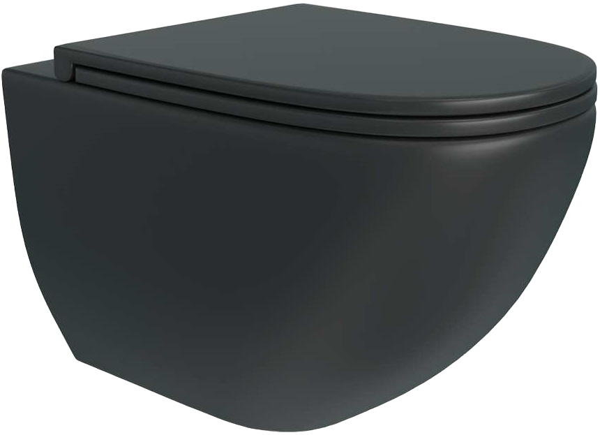 Унитаз подвесной Teymi Lina S T40111 с микрофлитом, безободковый, черный