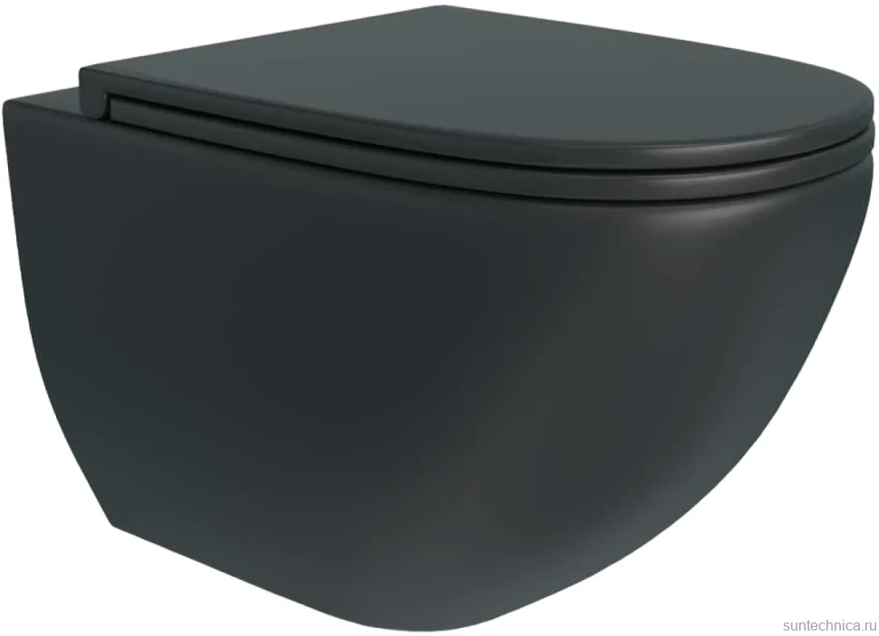Унитаз подвесной Teymi Lina S T40111 с микрофлитом, безободковый, черный