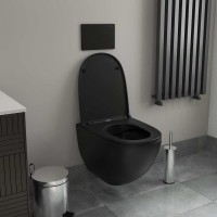 Унитаз подвесной Teymi Lina S T40111 с микрофлитом, безободковый, черный