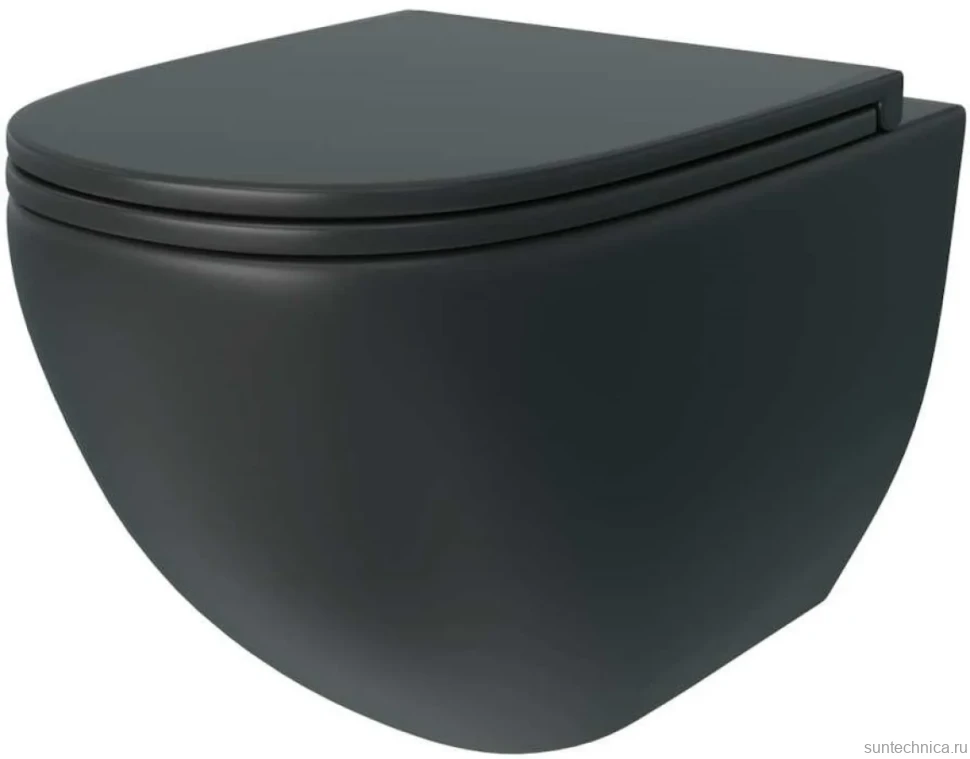 Унитаз подвесной Teymi Lina S T40111 с микрофлитом, безободковый, черный