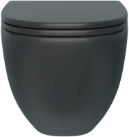 Унитаз подвесной Teymi Lina S T40111 с микрофлитом, безободковый, черный