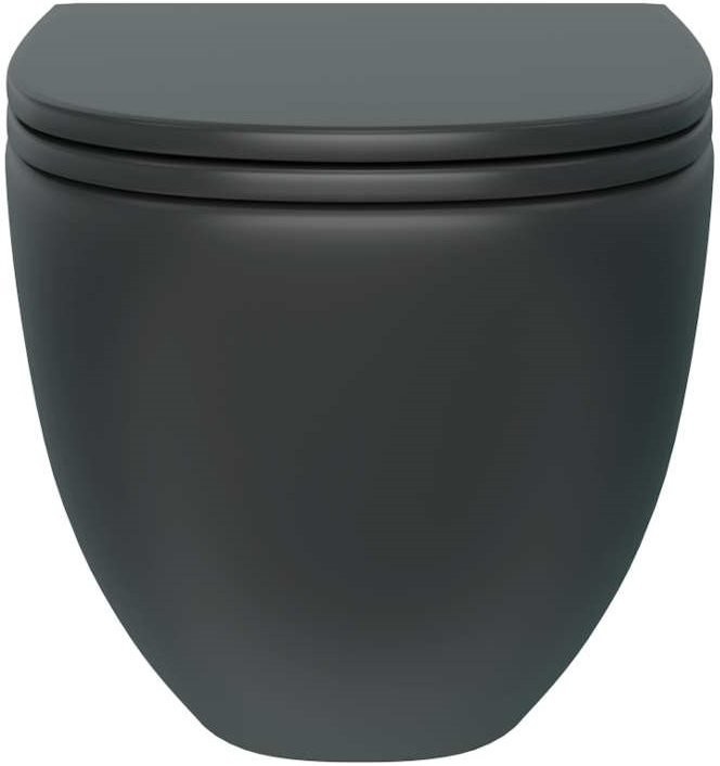 Унитаз подвесной Teymi Lina S T40111 с микрофлитом, безободковый, черный