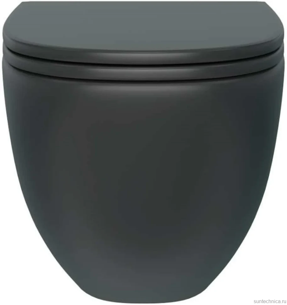 Унитаз подвесной Teymi Lina S T40111 с микрофлитом, безободковый, черный