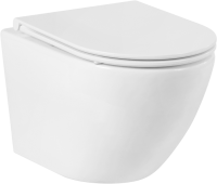 Комплект Унитаз подвесной BelBagno Sfera-r + Крышка Piano BB2111SC с микролифтом + Инсталляция Geberit Duofix Delta 458.149.21.1 с кнопкой смыва, хром + Звукоизоляция