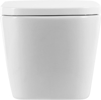 Унитаз подвесной BelBagno Albano BB120CHR безободковый, крышка BB120SC с микролифтом