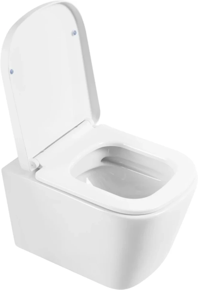 Унитаз подвесной BelBagno Albano BB120CHR безободковый, крышка BB120SC с микролифтом