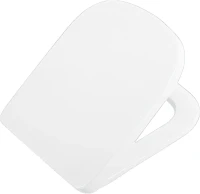 Унитаз подвесной BelBagno Albano BB120CHR безободковый, крышка BB120SC с микролифтом