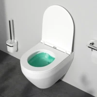Унитаз подвесной AM.PM Spirit V2.0 FlashClean с микролифтом, белый матовый
