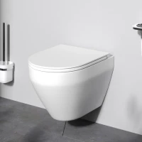 Унитаз подвесной AM.PM Spirit V2.0 FlashClean с микролифтом, белый матовый