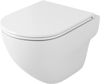 Унитаз подвесной Owl 1975 Wave TOWLT190801 безободковый, система смыва Торнадо